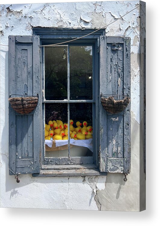 New Hope Acrylic Print featuring the photograph Duck Window by David Letts