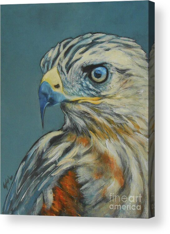 Eagle No Fear Acrylic Print featuring the painting Eagle - No Fear by Jane See