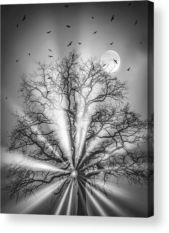 Fine Art Acrylic Print featuring the photograph Eclipse by Sofie Conte
