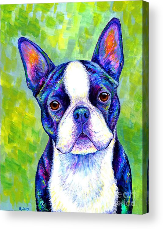 Boston Terrier Acrylic Print featuring the painting Effervescent - Colorful Boston Terrier Dog by Rebecca Wang