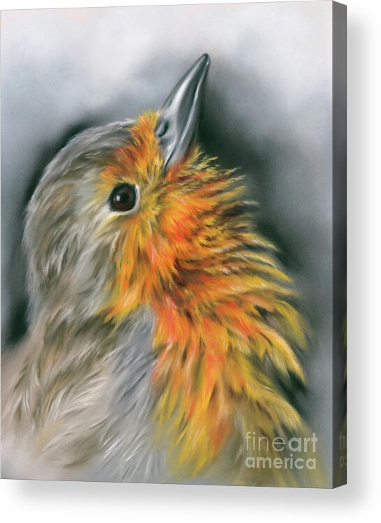 European Robin Acrylic Print featuring the painting European Robin Facing Skyward by MM Anderson