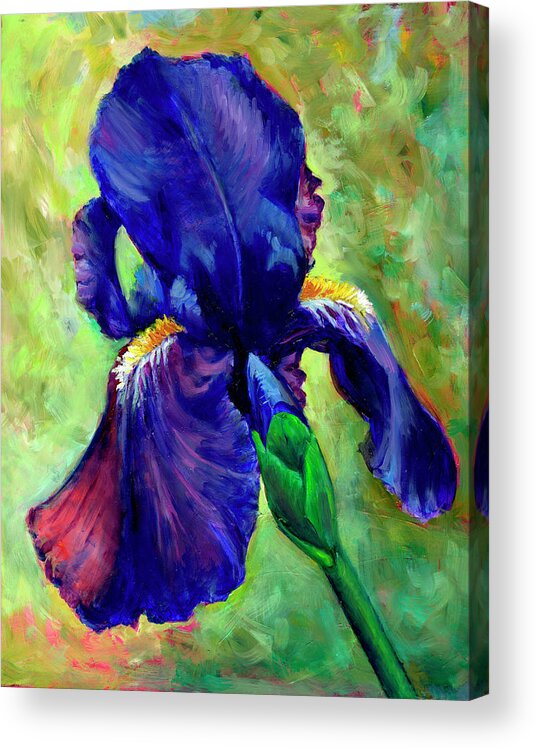 Iris Acrylic Print featuring the painting Fairest Among the Fair by Cynthia Westbrook