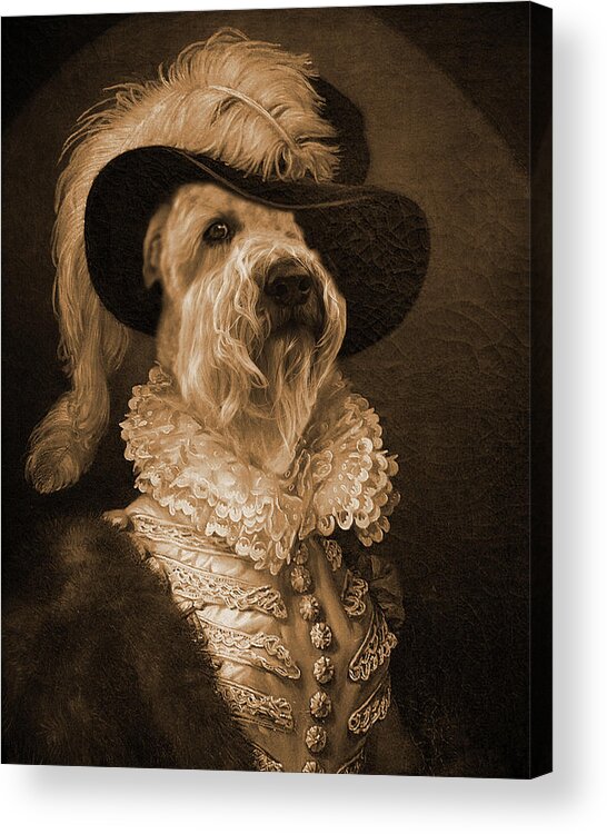 Acrylic Print featuring the photograph Finn 4 by Rebecca Cozart