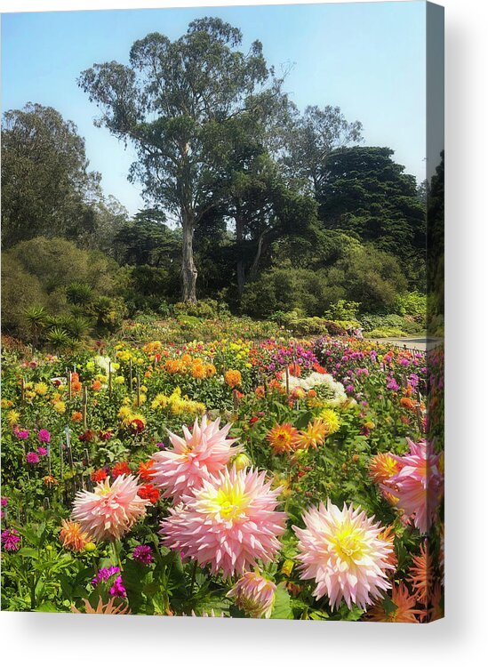  Acrylic Print featuring the photograph Floral Overload by Louis Raphael