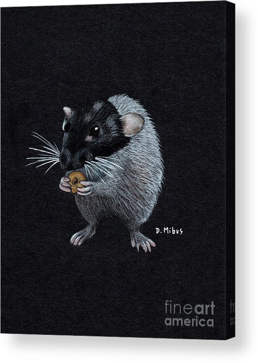 Dumbo Rat Acrylic Print featuring the drawing Frances Eats a Donut Color by Donna Mibus