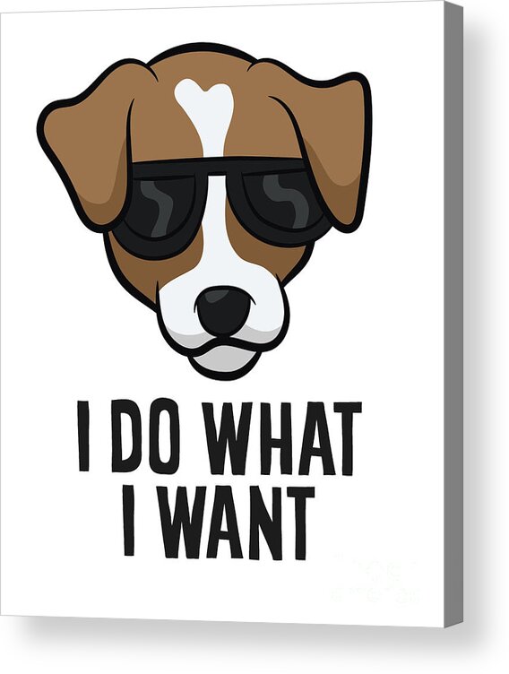 Funny Jack Russel I Do What I Want Jack Russell Terrier Acrylic Print by EQ  Designs - Pixels