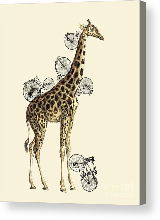 Giraffe Acrylic Print featuring the digital art Giraffe and bicycles by Madame Memento