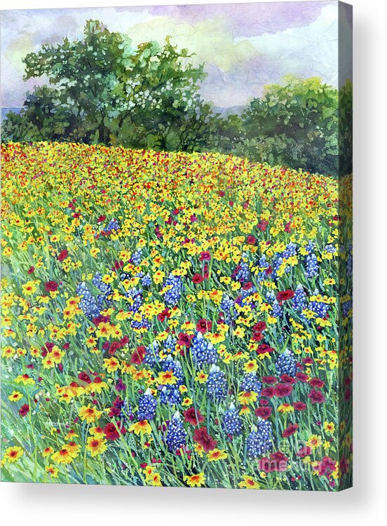 Bluebonnet Acrylic Print featuring the painting Golden Hillside-pastel colors by Hailey E Herrera