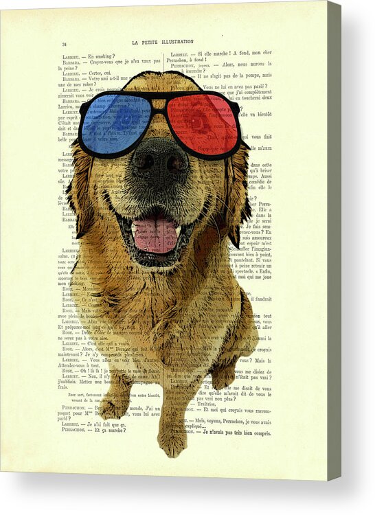 Film Acrylic Print featuring the mixed media Golden retriever and 3D glasses, funny movie dog by Madame Memento