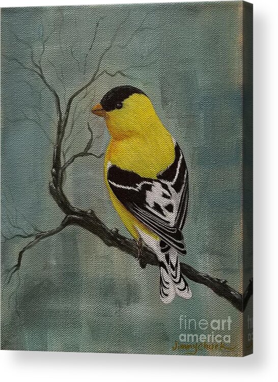 Finches Acrylic Print featuring the painting Goldfinch by Jimmy Chuck Smith