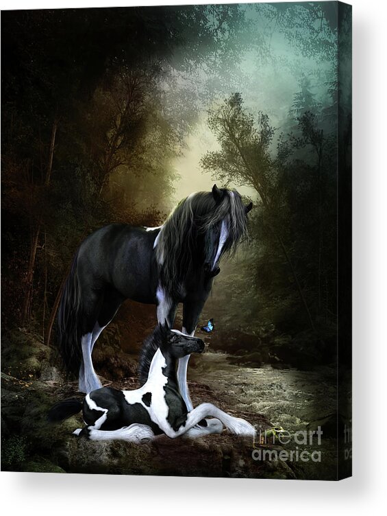 Gypsy Vanner Foal Acrylic Print featuring the digital art Gypsy Foal by River by Shanina Conway
