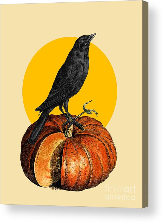Halloween Acrylic Print featuring the digital art Halloween crow on a pumpkin by Madame Memento