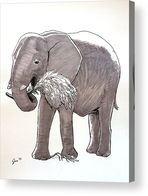 Elephant Acrylic Print featuring the drawing Happy Elephant by Rohvannyn Shaw