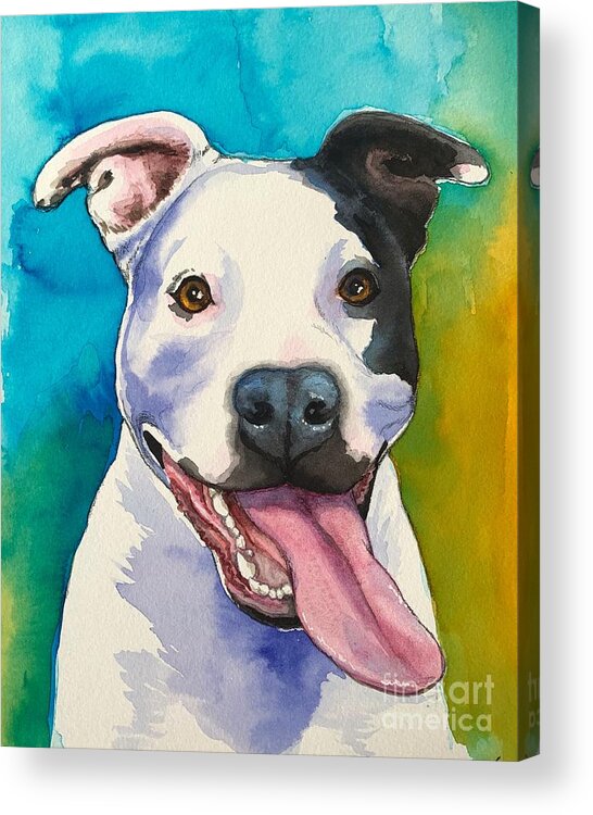 Pitbull Acrylic Print featuring the painting Happy by Jindra Noewi