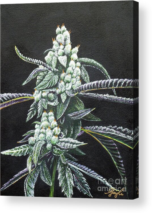 Cannabis Acrylic Print featuring the painting Hazy Girl by Gayle Utter