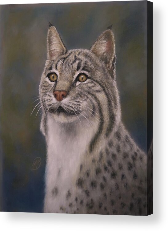 Bobcat Acrylic Print featuring the painting Here Kitty, Kitty by Monica Burnette