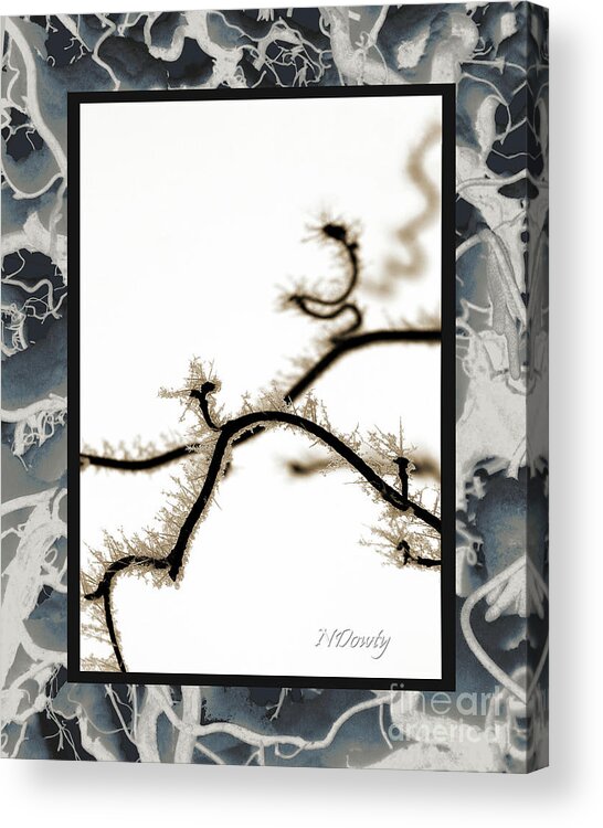 Hoar Frost On Mystic Tree Acrylic Print featuring the photograph Hoar Frost on Mystic Tree by Natalie Dowty