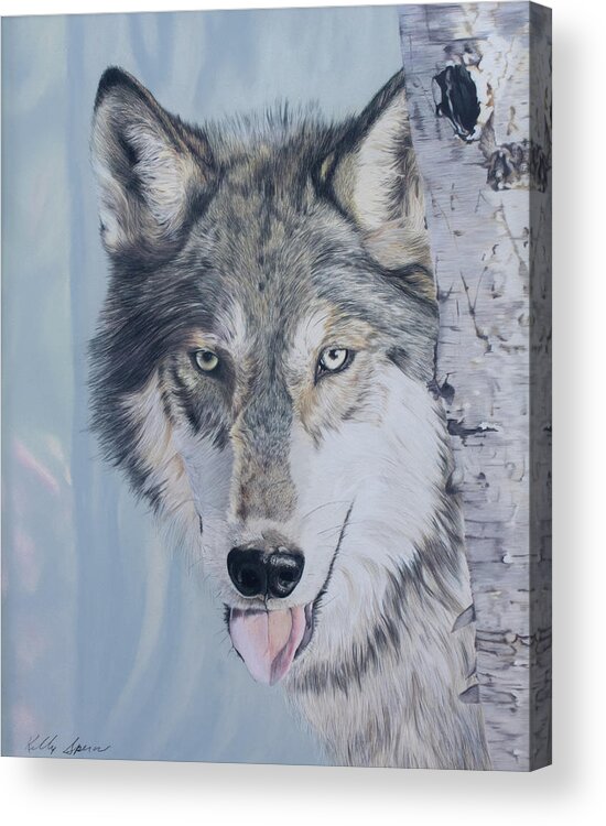 Wolf Acrylic Print featuring the drawing I See You by Kelly Speros