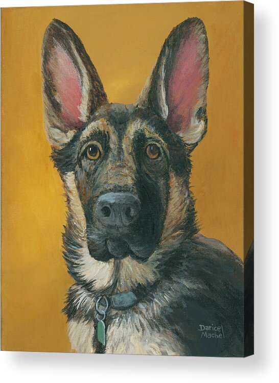 Dog Acrylic Print featuring the painting Iashma by Darice Machel McGuire