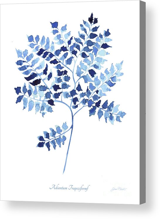 Indigo Acrylic Print featuring the painting Indigo Botanical 12 by Jean Plout