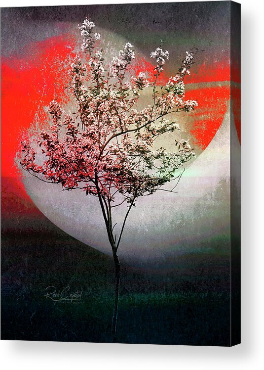 Trees Acrylic Print featuring the photograph It's My Time To Bloom by Rene Crystal