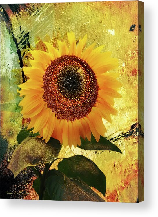Janine Acrylic Print featuring the digital art Janine's Sunflower by Cindy Collier Harris