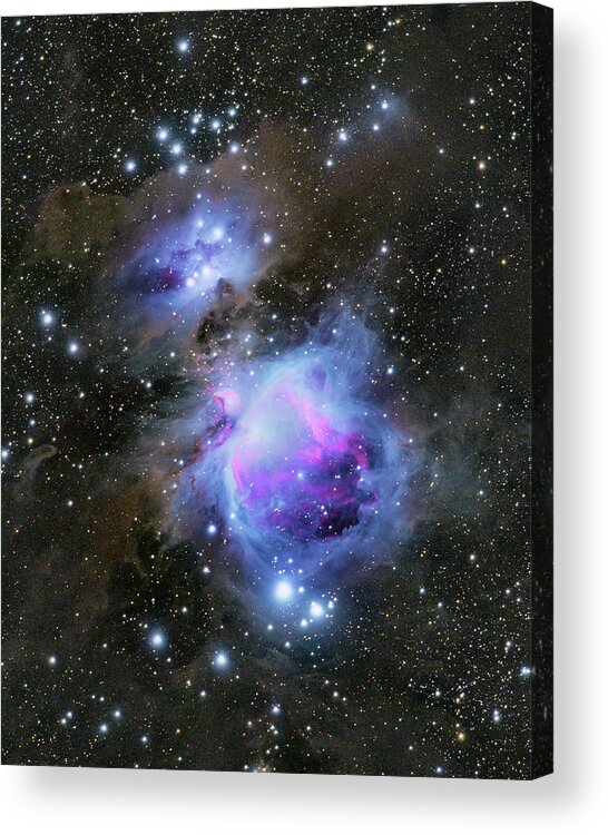 Adam Pender Acrylic Print featuring the photograph Jewels in the Dust - Orion Nebula and Running Man Nebula by Adam Pender