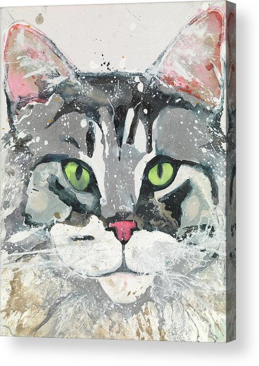 Cat Acrylic Print featuring the painting Kieran by Kasha Ritter