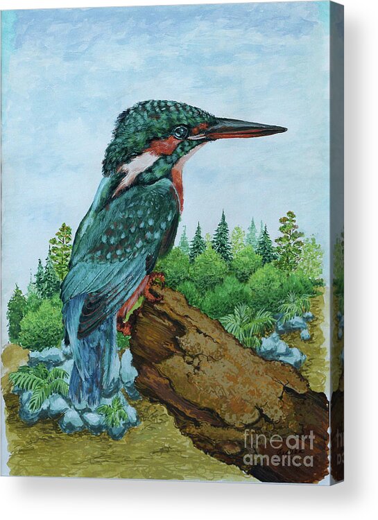  Acrylic Print featuring the painting Kingfisher by Jyotika Shroff