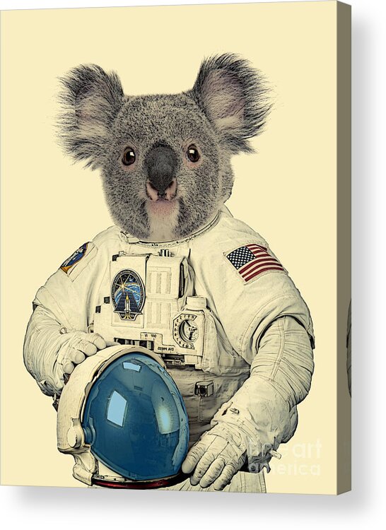 Koala Acrylic Print featuring the mixed media Koala Cosmonaut by Madame Memento