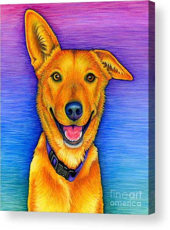 Dog Acrylic Print featuring the painting Kona by Rebecca Wang
