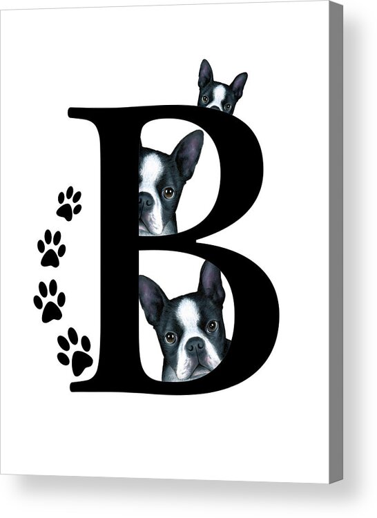 Letter B Acrylic Print featuring the mixed media Letter B Monogram with Boston Terrier Dogs by Lucie Dumas