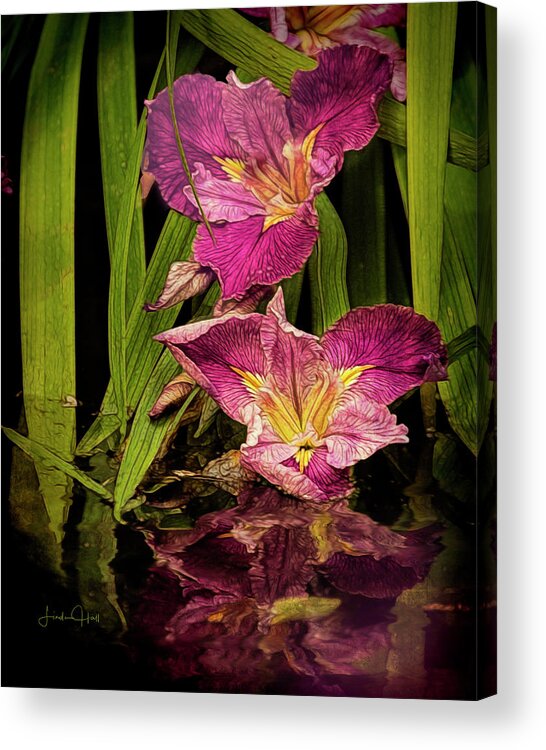 Pond Acrylic Print featuring the photograph Lilies by the Pond by Linda Lee Hall