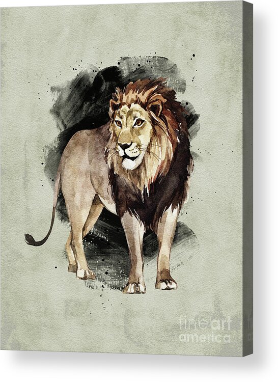 Lion Acrylic Print featuring the painting Lion Watercolor Animal Art Painting by Garden Of Delights