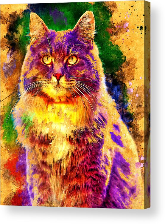 Maine Coon Acrylic Print featuring the digital art Maine Coon cat sitting - digital painting with vintage look by Nicko Prints
