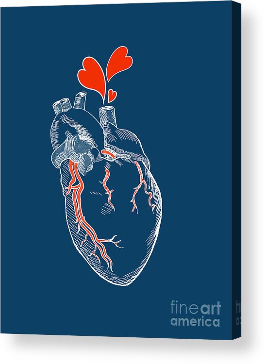 Heart Acrylic Print featuring the digital art Marine Heart by Madame Memento