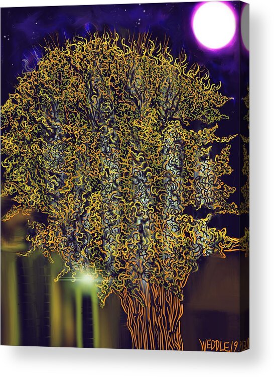 Midnight Acrylic Print featuring the digital art Midnight Contemplation by Angela Weddle