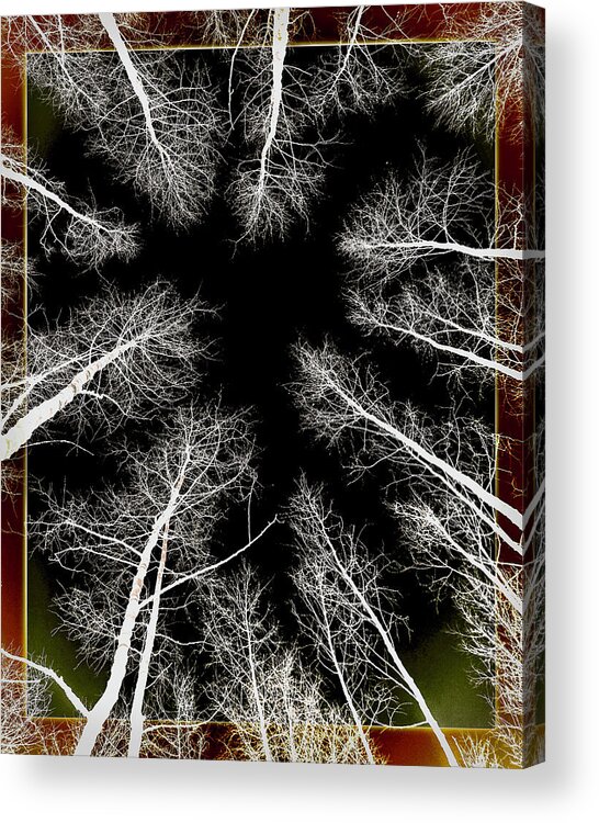 Midwinter Midnight Sky Acrylic Print featuring the photograph Midwinter Midnight Sky by Susan Maxwell Schmidt