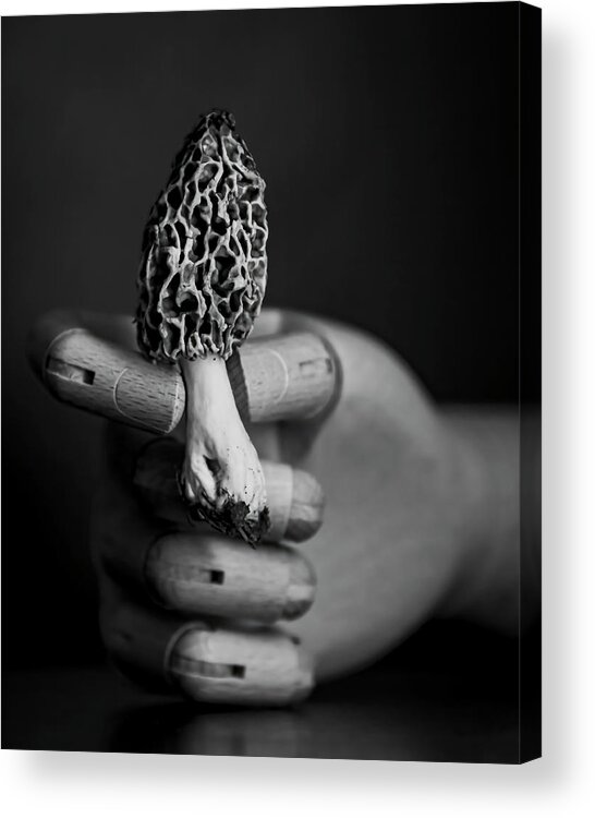 Spring Acrylic Print featuring the photograph Mushroom Hunting by Holly Ross
