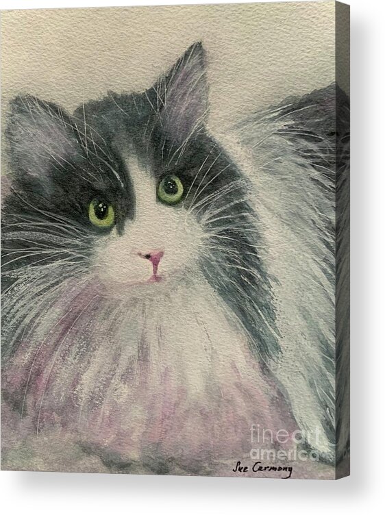 Cat Acrylic Print featuring the painting Mussie by Sue Carmony