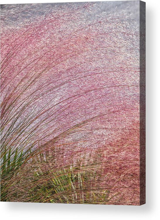 Florida Acrylic Print featuring the photograph Nature's Paintbrush by Phil Marty