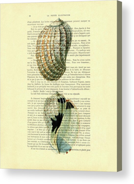 Sea Acrylic Print featuring the digital art Nautical sea shells on antique French book page by Madame Memento