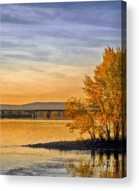 Trees Acrylic Print featuring the photograph On Golden Point by Carol Randall