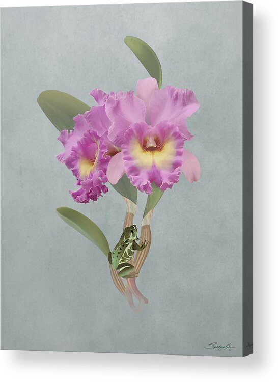 Flower Acrylic Print featuring the mixed media Orchid Seduction by M Spadecaller