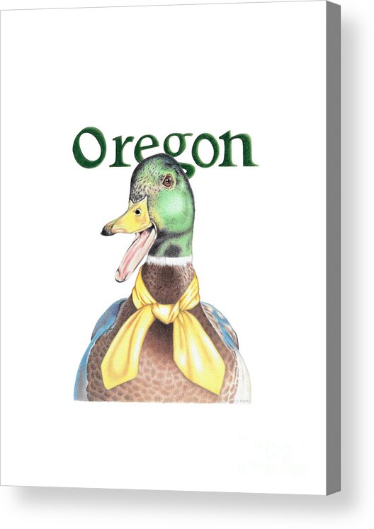 Oregon Acrylic Print featuring the drawing Oregon Duck with Transparent Background by Karrie J Butler