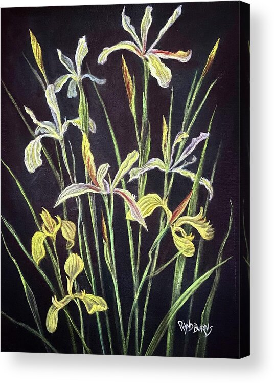 Irises Acrylic Print featuring the painting Out of the Darkness by Rand Burns