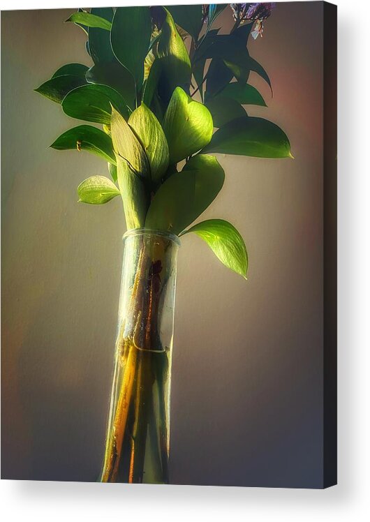 Photography Acrylic Print featuring the photograph Paint by Christopher Genheimer
