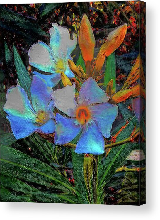 Flower Acrylic Print featuring the photograph Painterly Flowers by Andrew Lawrence