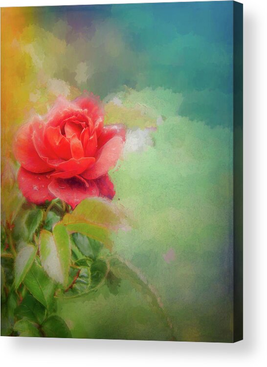Artistic Acrylic Print featuring the photograph Painterly Roses by Sue Leonard