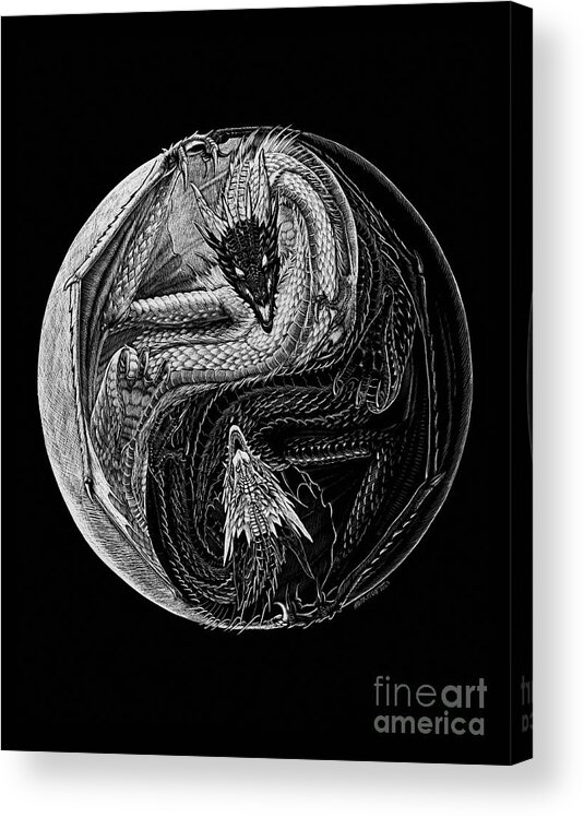 Yin Acrylic Print featuring the drawing Paradox Yin Yang by Stanley Morrison